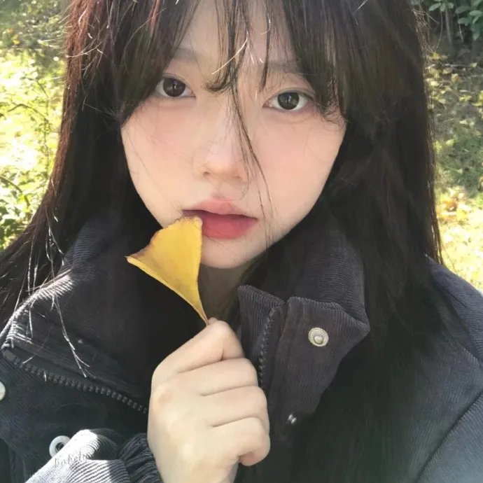 雨果的冒险